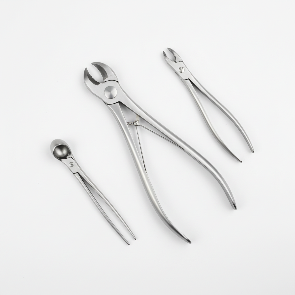 Bone Cutter - Flat Lay