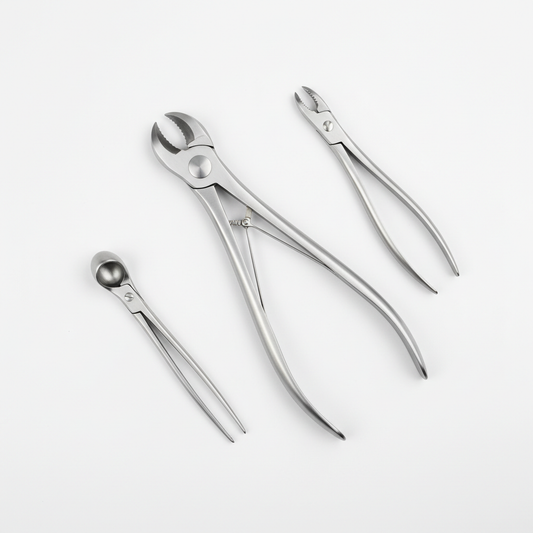 Bone Cutter - Flat Lay