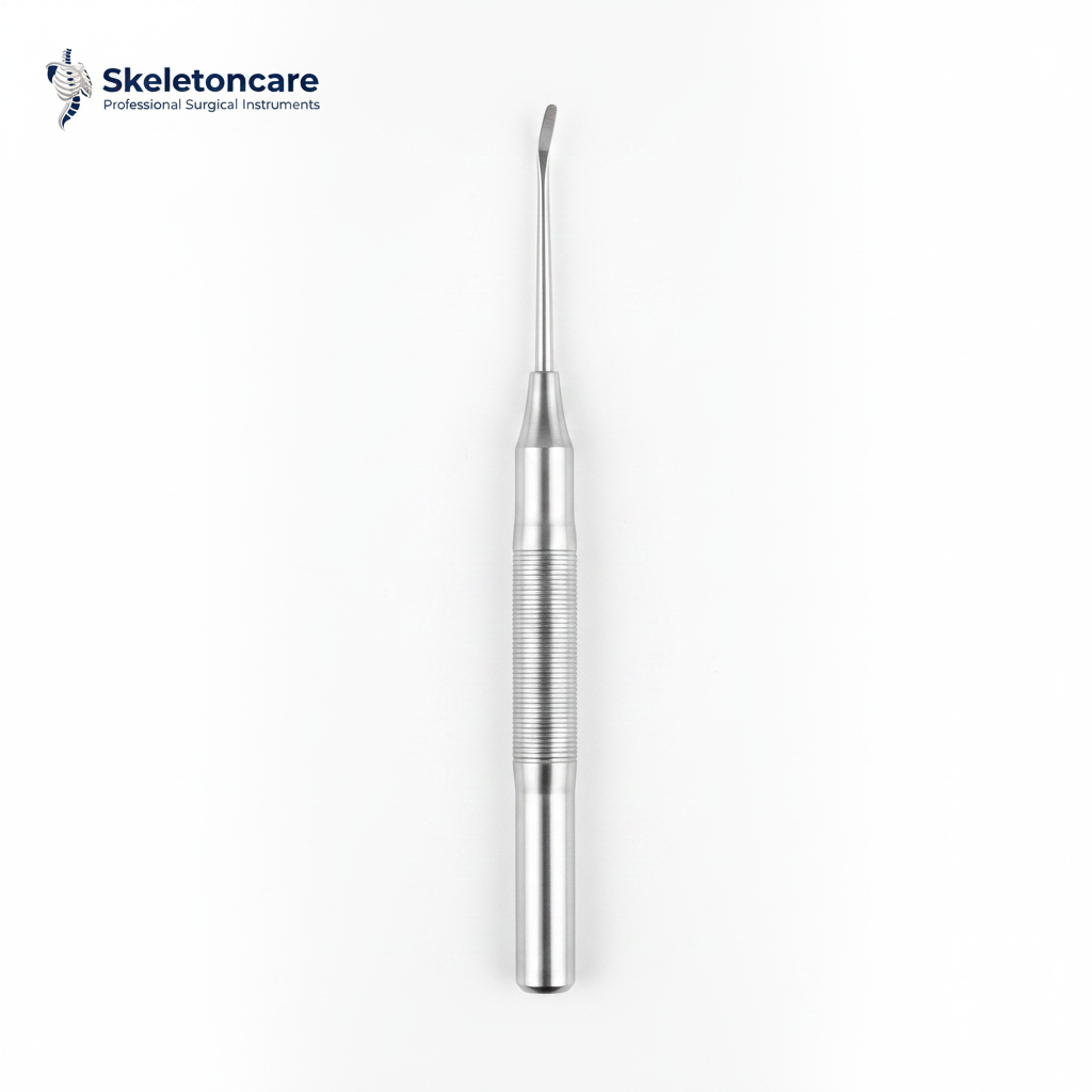 Dental Periosteal Elevator - Front View | Skeletoncare