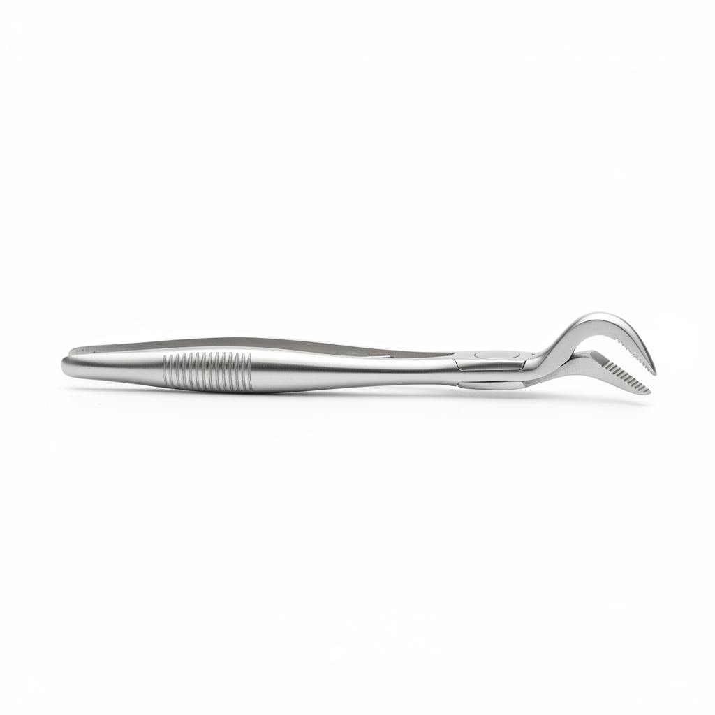 Dental Extraction Forceps - Front View