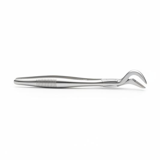 Dental Extraction Forceps - Front View